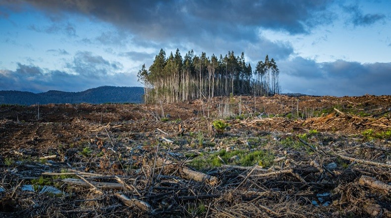 Superkomputer Prediksi Akhir Umat Manusia: Dalam 250 Juta Tahun Atmosfer Bumi Penuh Co2