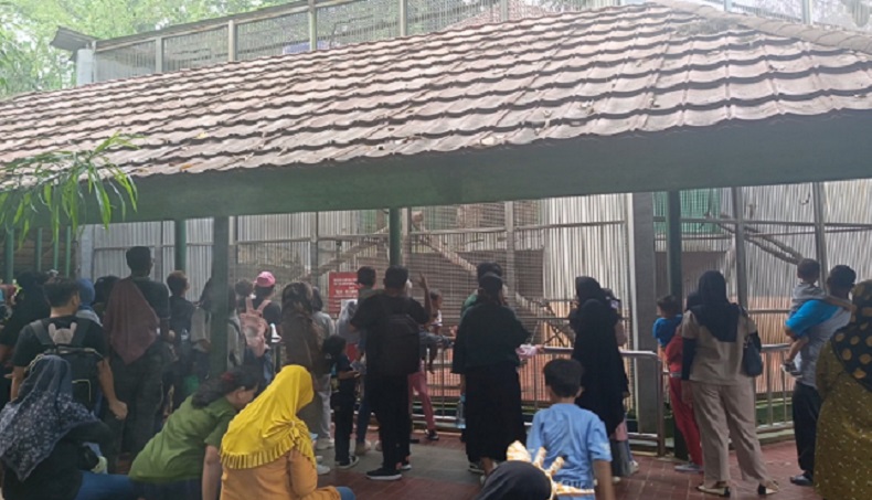 Libur Hari Kenaikan Yesus Kristus, 26.000 Pengunjung Padati Taman Margasatwa Ragunan