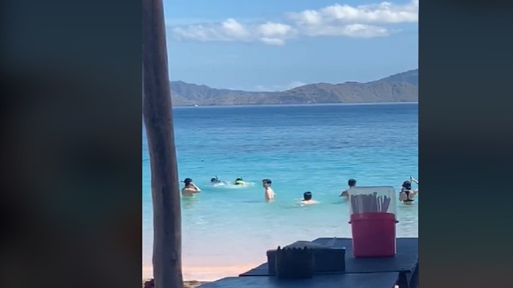 Potret Aktor Korea Ji Chang Wook di Pink Beach Labuan Bajo, Terlihat Nikmati Berenang