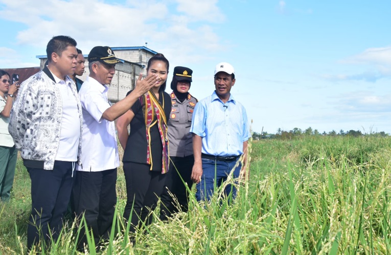 Mentan Jamin Tak Ada Lagi Masalah Kekurangan Pupuk di RI