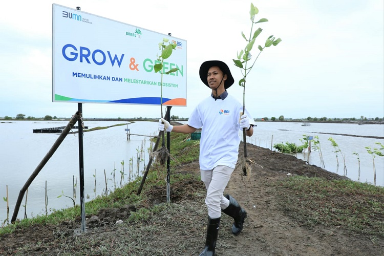 Portofolio Pembiayaan Berkelanjutan BRI Capai Rp787,9 Triliun di Triwulan I-2024