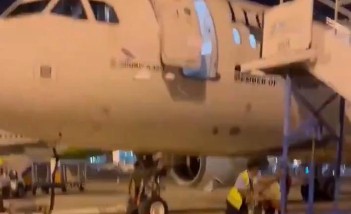 Viral Petugas Bandara Jatuh dari Pintu Pesawat TransNusa, Ini Penjelasan Manajemen