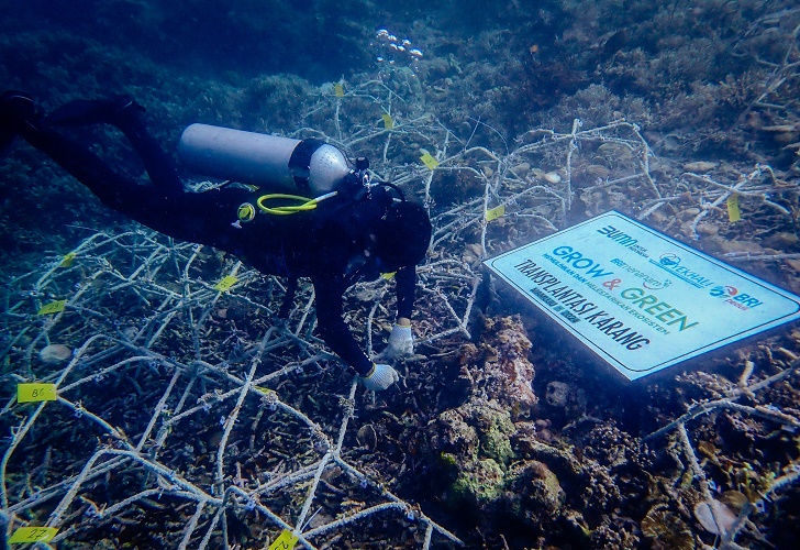 Lewat Program Grow & Green, BRI Bantu Kembangkan Potensi Wisata Daerah