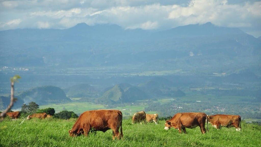 Desa di Sumatera Barat Harus Dikunjungi Sekali Seumur Hidup, Pemandangannya Mirip di Luar Negeri 