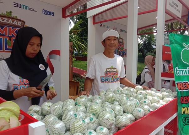 Berkat KUR BRI, Klaster Jambu Kristal di Purworejo Semakin Berkembang