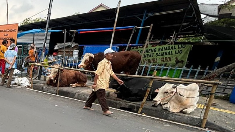 Warga Keluhkan Trotoar di Johar Baru Jakpus Jadi Tempat Jual Hewan Kurban