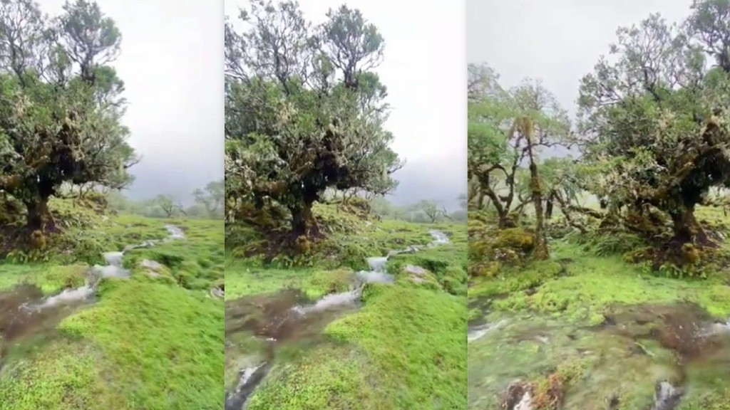 Viral, Lembah Lohe di Sulawesi Selatan Sering Dikira Luar Negeri, Suasananya seperti Dongeng   