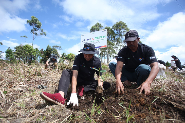 Hari Lingkungan Hidup Sedunia, BRI Pulihkan Ekosistem dan Lawan Perubahan Iklim 