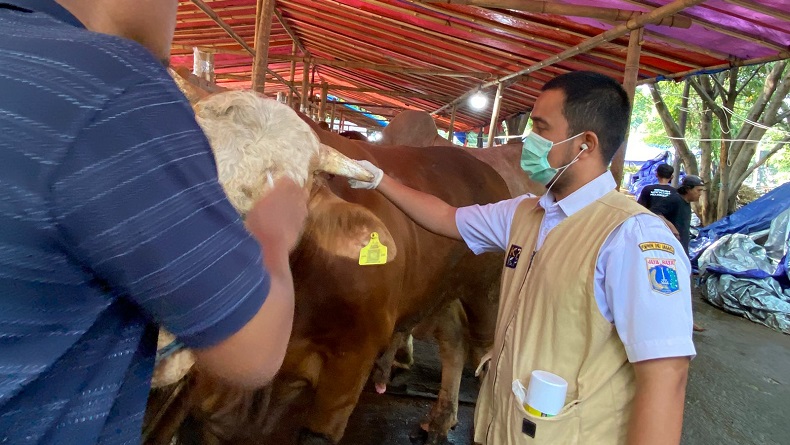 Alhamdulillah, Hewan Kurban di 71 Lapak di Jakpus Bebas Penyakit