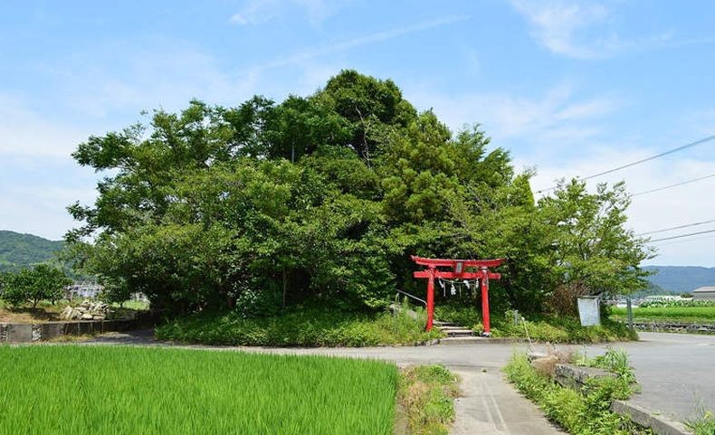 Ini Gunung Terpendek di Jepang Hanya Setinggi 6,1 Meter, Didaki 10.000 Orang Tiap Tahun