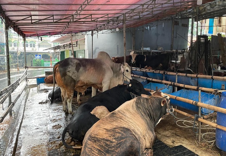 Imbauan DLH DKI Jakarta jelang Idul Adha: Limbah Hewan Kurban Tak Dibuang ke Selokan