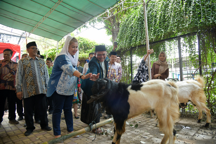 Pemkot Semarang Serahkan Ratusan Hewan Kurban di Berbagai Penjuru Wilayah Kota