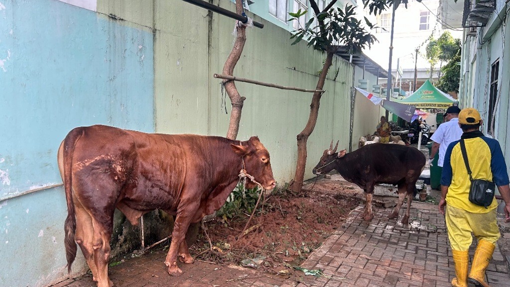 Perayaan Idul Adha, MNC Peduli Salurkan Hewan Kurban untuk Warga Kecamatan Menteng