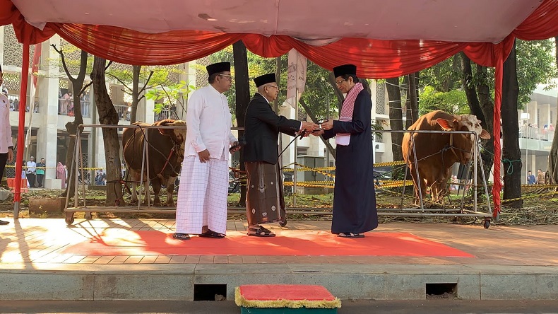 Wapres Ma'ruf Amin Serahkan Sapi Kurban ke Masjid Istiqlal