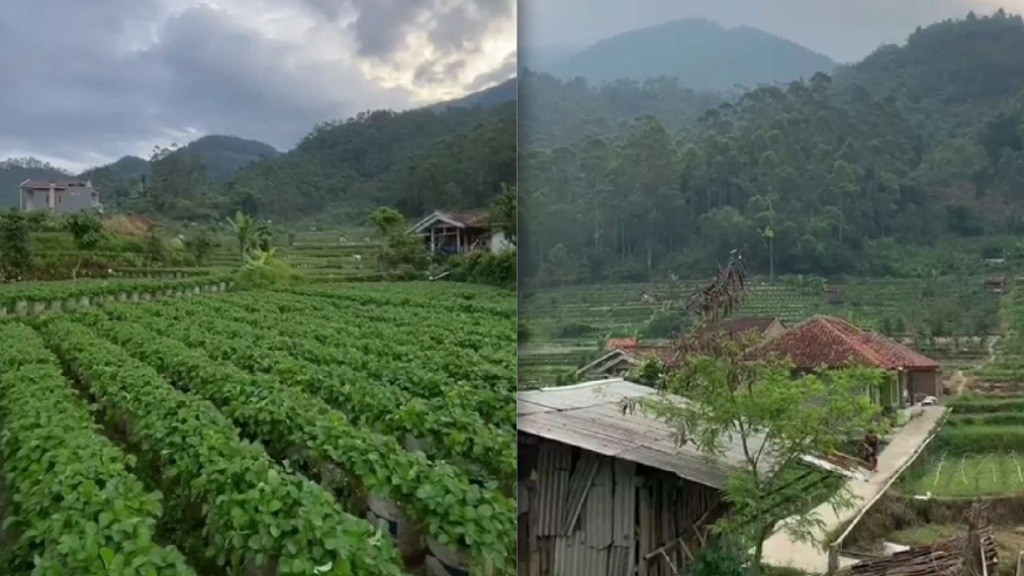 5 Desa di Bandung Lokasinya Tersembunyi, Suasana Masih Alami Ada yang Mirip Ubud 
