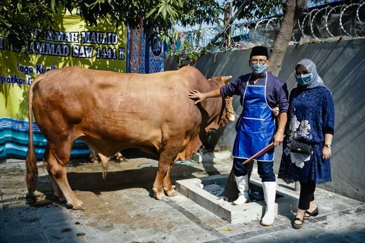 Sukses Kembangkan Usaha bersama BRI, Peternak Kambing Ini Banjir Pembeli