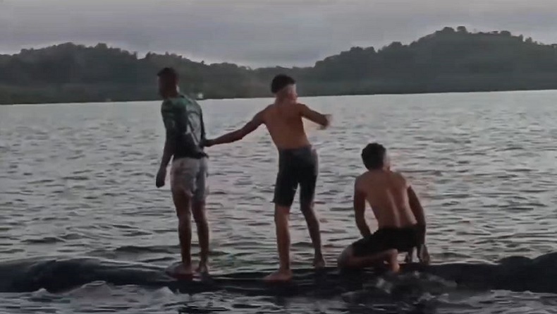 Viral Paus Raksasa Muncul di Perairan Misool Raja Ampat, Main dengan Para Pemuda di Laut
