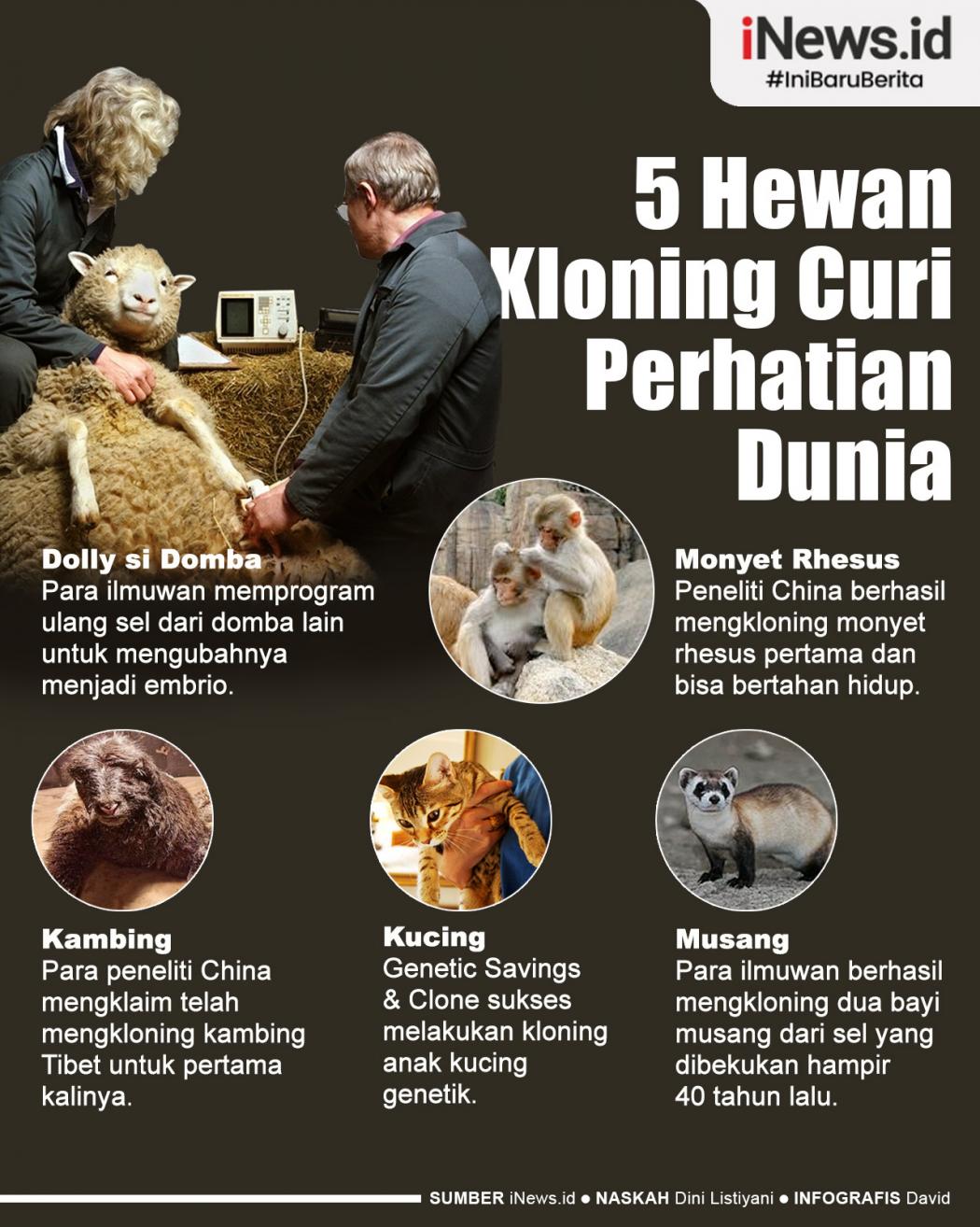 Infografis 5 Hewan Hasil Kloning yang Sukses Mencuri Perhatian Dunia 