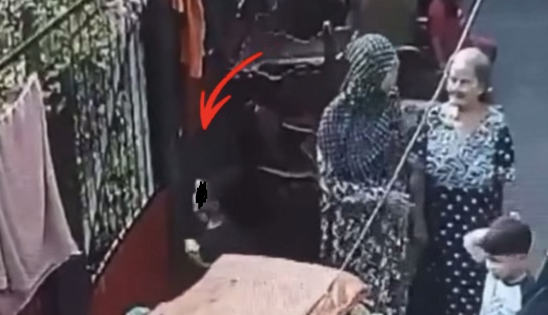 Viral Bocah 7 Tahun Digigit Anjing di Kebayoran Lama, Matanya Terluka