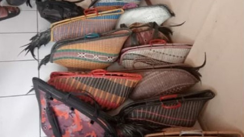 Polisi Gerebek Judi Sabung Ayam di Cibinong Bogor, Tangkap 10 Orang