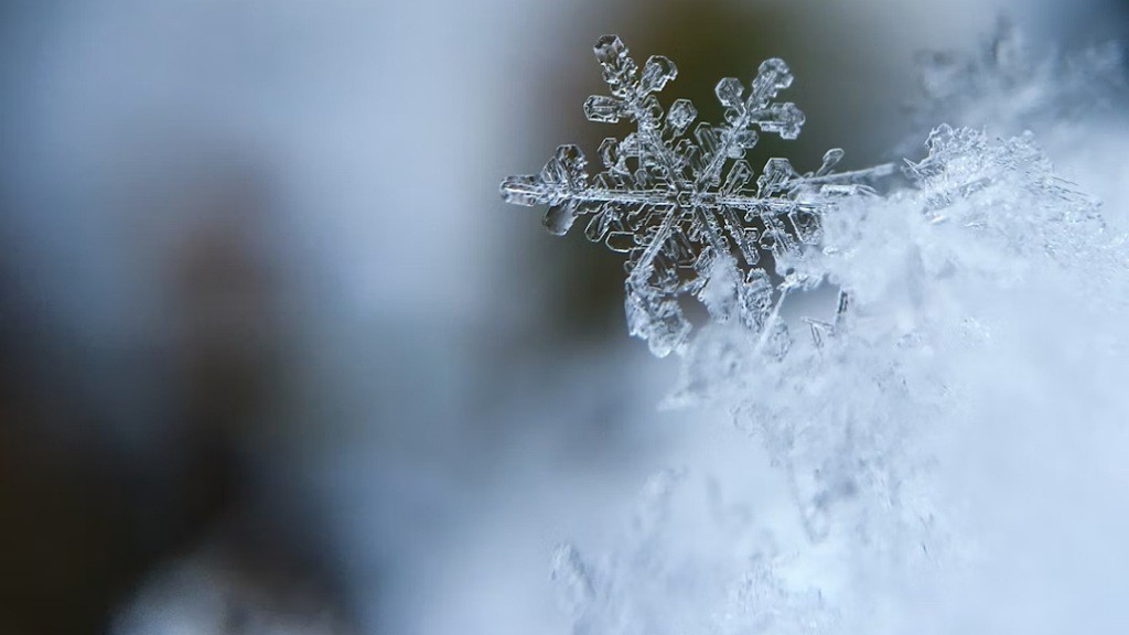 Siapa Wilson Bentley? Orang Pertama yang Berhasil Memotret Kepingan Salju