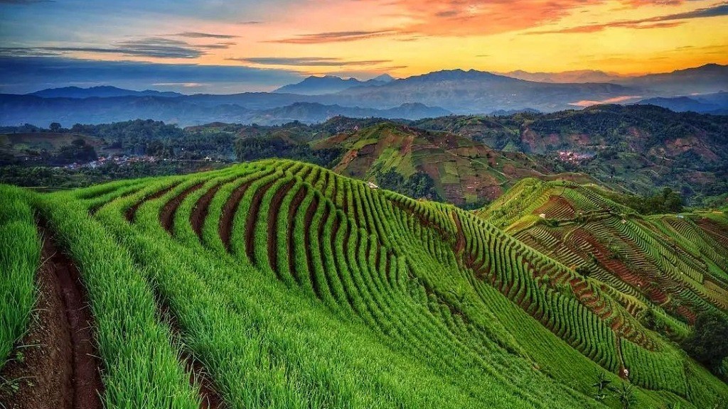 6 Desa di Majalengka Harus Dikunjungi saat Liburan, Suasananya Alami Ada Terasering Mirip di Ubud
