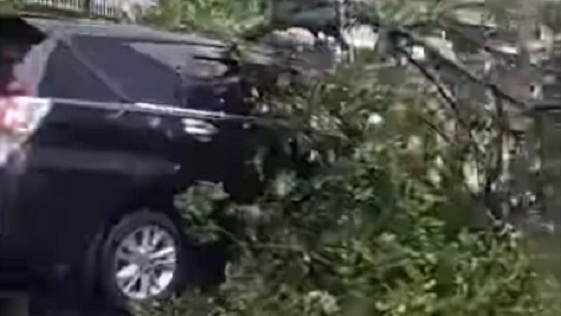 Pohon Tumbang di Depan Stasiun Gambir, 1 Mobil Rusak Tertimpa