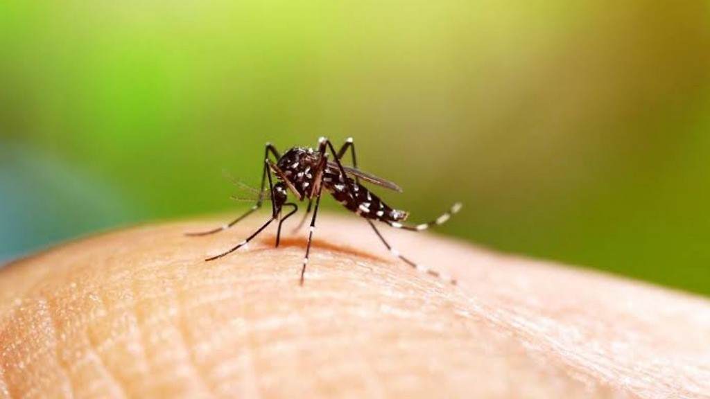 Kasus DBD Naik, Kemenkes Kenalkan Dengue Slayers Challenge Mencegah Infeksi Meluas