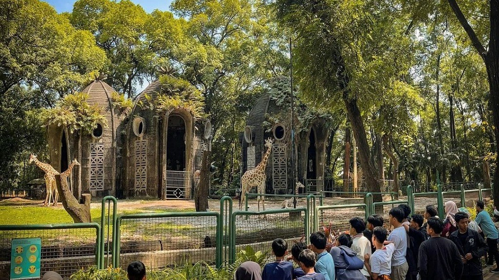 Libur Sekolah Ragunan Jadi Pilihan Populer Wisatawan, Ini Aktivitas Paling Favorit