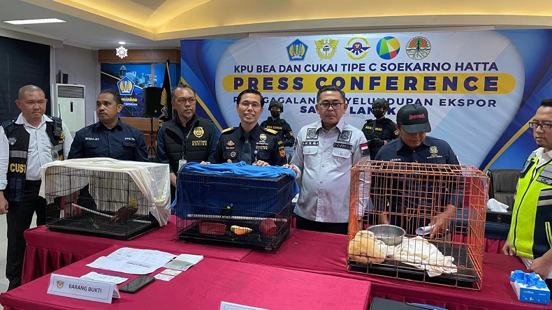 Aktor Bollywood Ditangkap di Bandara Soetta, Selundupkan Burung Cenderawasih