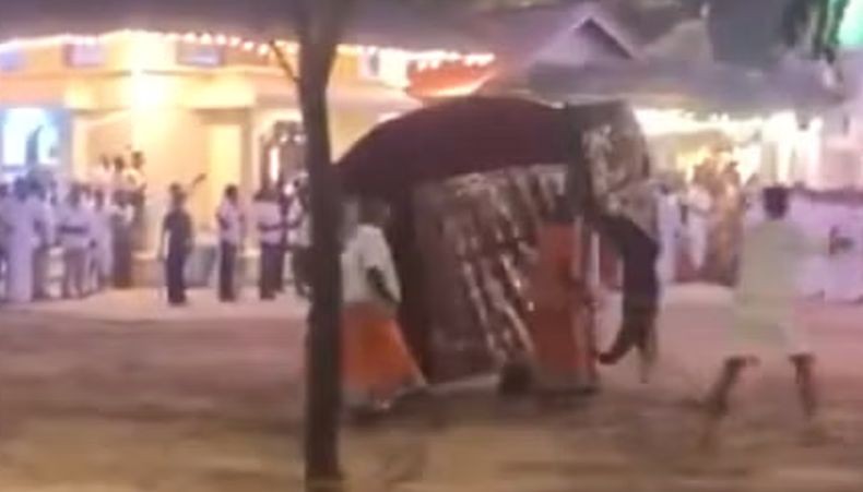 Ngeri! Gajah Ngamuk di Festival Hindu Sri Lanka, 13 Orang Luka