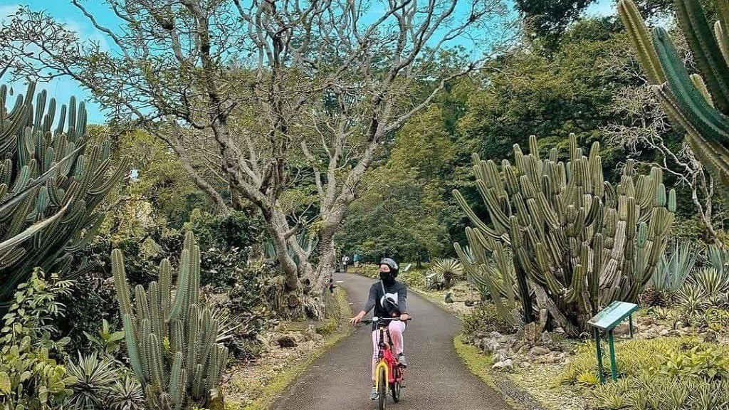 Liburan Akhir Pekan di Bogor serasa Ada di Meksiko, Sejauh Mata Memandang hanya Lihat Kaktus