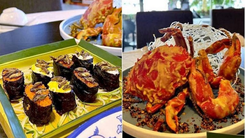 Wah, 16 Spesies Serangga Ini Resmi Disetujui Singapura untuk Dikonsumsi