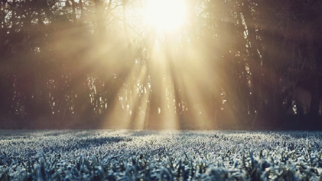 Kenapa Suhu Pagi Hari Sekarang Sangat Dingin? Ternyata Ini Penyebabnya