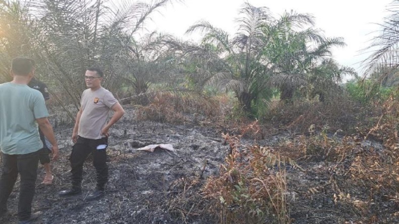 Kebakaran Lahan di Muratara, Kakek 72 Tahun Tewas Terkepung Kobaran Api