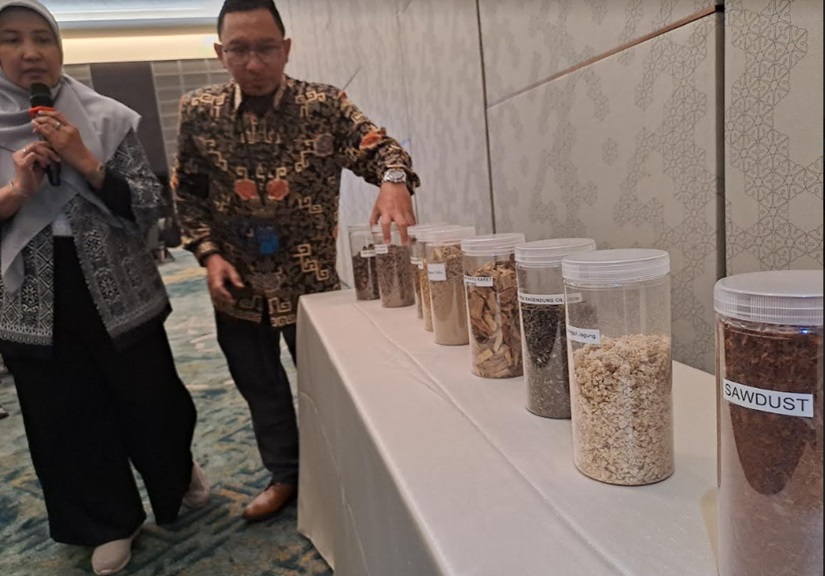 PLN EPI Targetkan Pasok 2,2 Juta Ton Biomassa untuk PLTU