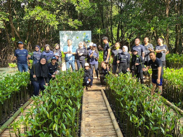 Cegah Bencana di Pesisir, PNM Peduli Tanam 50.000 Pohon Mangrove