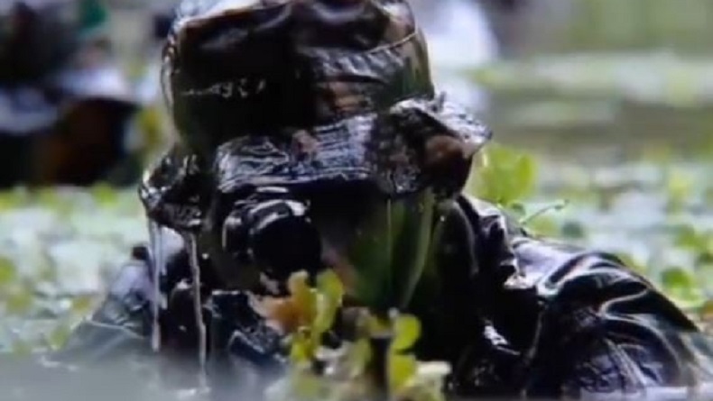 3 Kisah Penyamaran Berani Intel TNI, Jenderal Kopassus Pura-pura Jadi Sopir