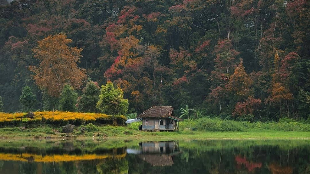 Desa di Bandung Harus Dikunjungi, Ada di Ketinggian 1.600 Mdpl Suasananya Sejuk Dikelilingi Kebun Teh 