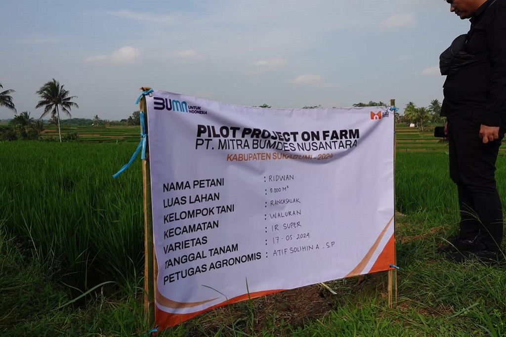 Bulog Temani Petani Jawab Tantangan Ketahanan Pangan Melalui Program Mitra Tani