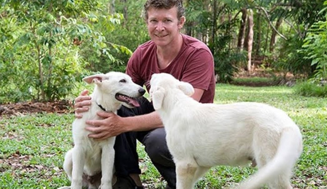 Ahli Buaya Inggris Perkosa Puluhan Anjing, Kini Dihukum 10 Tahun Penjara