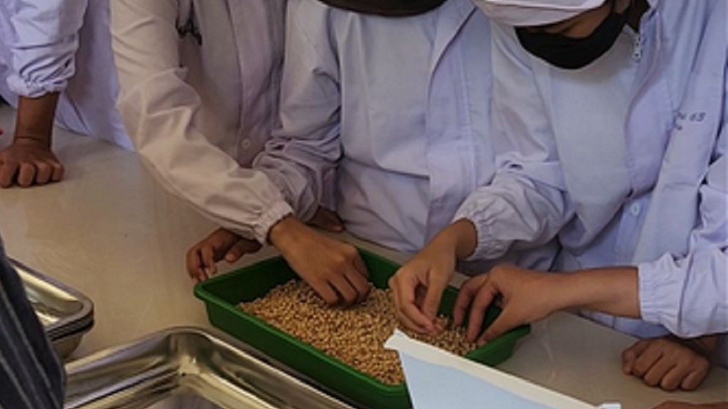 Startup Pembuat Tempe Dilirik Banyak Investor, Diharapkan Bisa Bantu Mendunia