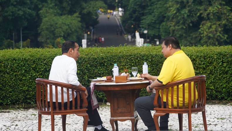 Respons Golkar soal Isu Jokowi Jadi Ketum usai Airlangga Mundur