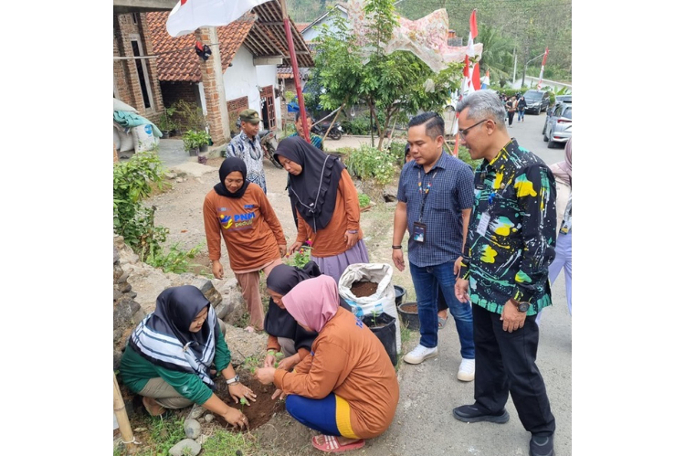 Harga Tidak Stabil, PNM Berikan Bantuan 1.500 Bibit Cabai untuk Warga Desa