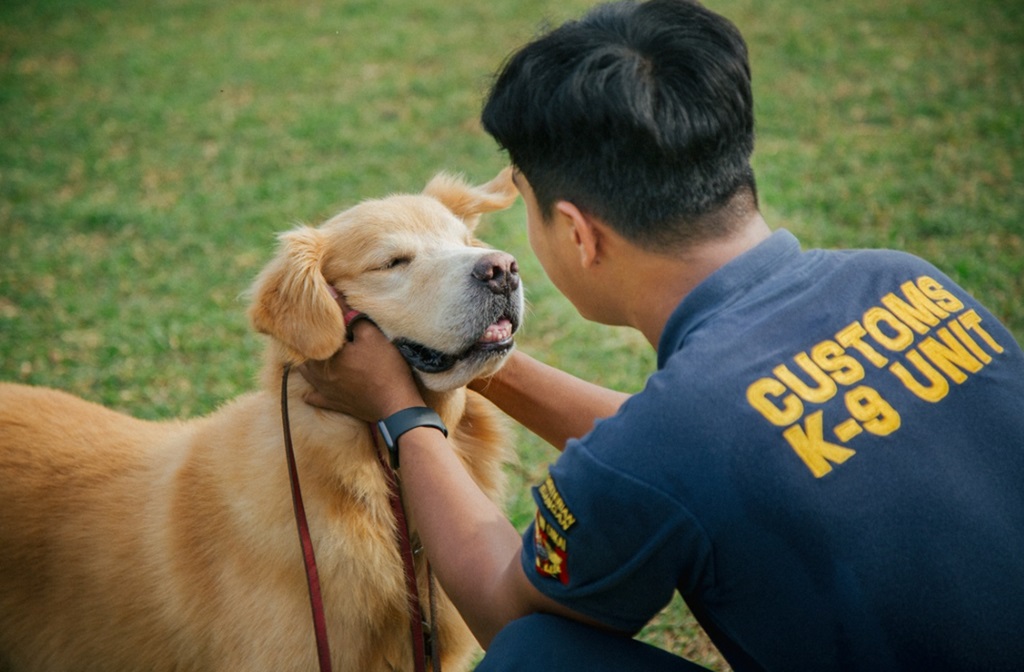  Kemenkeu Buka Lowongan CPNS Pawang Anjing Pelacak untuk Lulusan SMA, Tertarik?