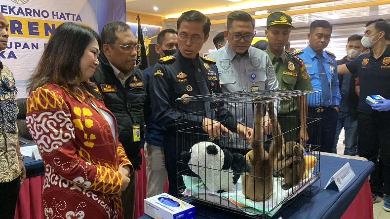 Modus WNA Mesir Selundupkan 3 Primata Langka di Bandara Soetta