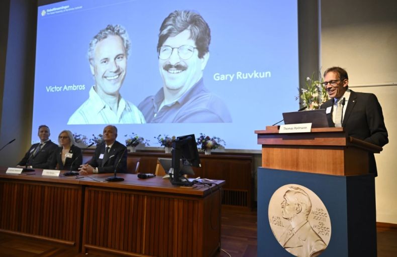 Hadiah Nobel Kedokteran 2024 Jatuh pada 2 Ahli Biologi AS terkait Penemuan Molekul RNA