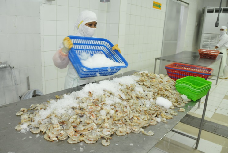 Udang Beku Indonesia Terkontaminasi Zat Radioaktif, Ini Bahayanya jika Dikonsumsi!