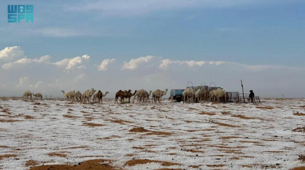 Ekstrem! Suhu di Saudi Capai -3 Derajat Celsius, Makkah dan Madinah Diprediksi Badai Pasir