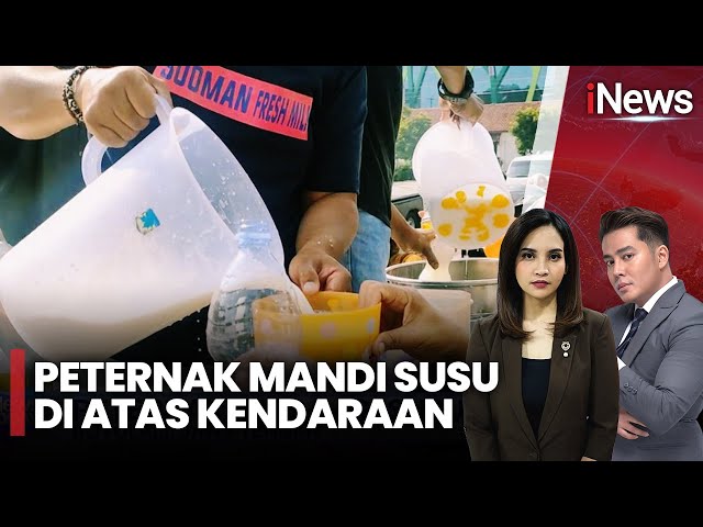 Nggak Laku, Peternak Bagi-Bagi Susu Gratis!